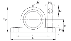 直立式軸承座單元 PASE25-TV-FA125.5, 塑料軸承座，帶偏心鎖圈的外球面球軸承，帶 Corrotect? 涂層，P型密封