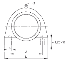 直立式軸承座單元 RSHEY40-TV-VA, 塑料軸承座，內(nèi)圈帶平頭螺釘?shù)耐馇蛎媲蜉S承，耐腐蝕設(shè)計(jì)，R 型密封