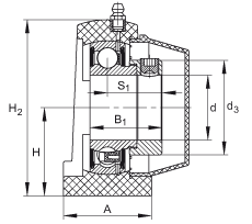 直立式軸承座單元 PSHE25-TV-FA125.5, 塑料軸承座，帶偏心鎖圈的外球面球軸承，帶 Corrotect? 涂層，P型密封