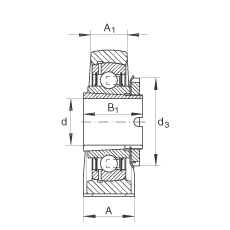 直立式軸承座單元 RASEA40-N, 鑄鐵軸承座，帶緊定套的外球面球軸承，R 型密封
