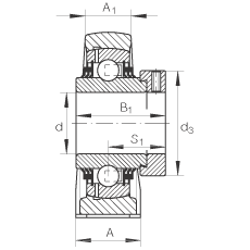 直立式軸承座單元 TSHE45, 鑄鐵軸承座，帶偏心鎖圈的外球面球軸承，T 型密封